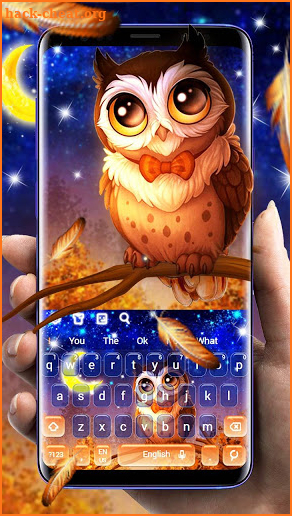 Cute Starry Night Owl Gravity Keyboard Theme screenshot