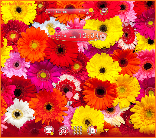 Cute Wallpaper Colorful Gerbera Flowers Theme screenshot