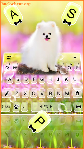 Cute White Dog Keyboard Background screenshot