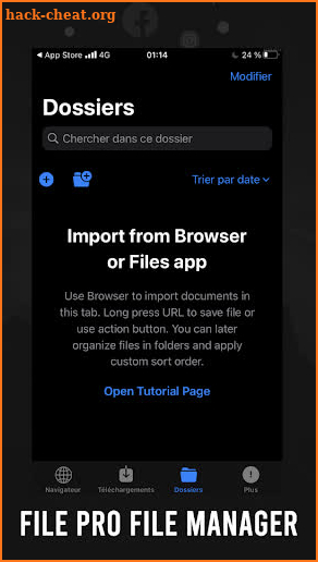 D-manager Downloads Browser screenshot