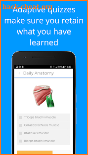 Daily Anatomy: Flashcard Quizzes to Learn Anatomy screenshot
