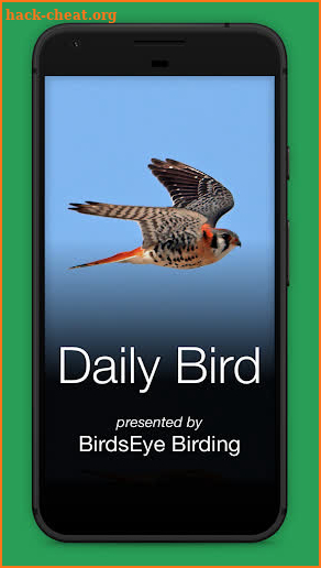 Daily Bird screenshot