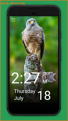 Daily Bird screenshot