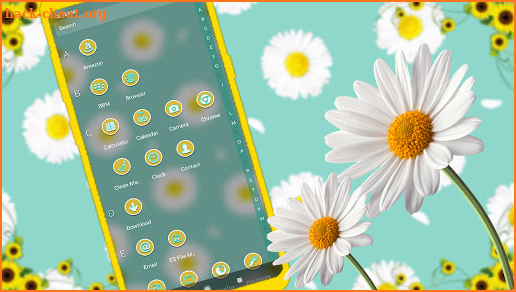 Daisy Flower Theme screenshot