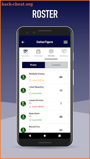 Dallas Tigers Baseball screenshot