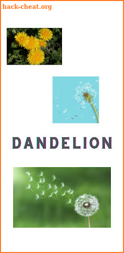 Dandelion screenshot