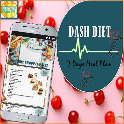 Dash Diet screenshot