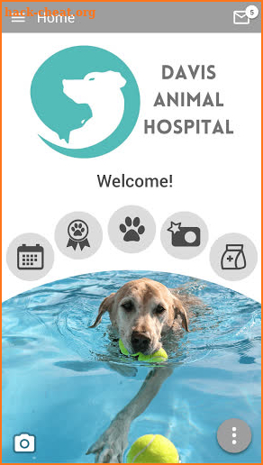 Davis Animal Hospital screenshot