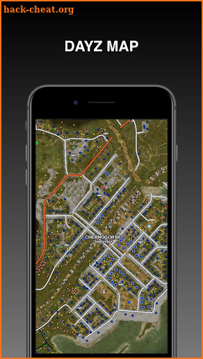 DayZ Map screenshot