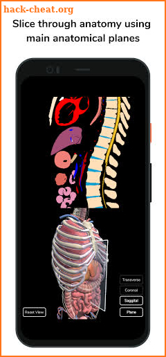 Deepscope Radiological Anatomy screenshot
