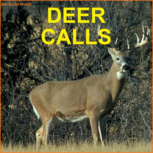 Deer Calls for Deer Hunting screenshot