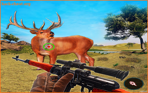 Deer Hunt Wild Animal Shooting Games 2021 screenshot