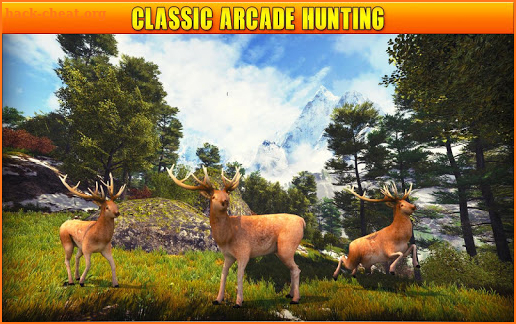 Deer Hunting 19 screenshot
