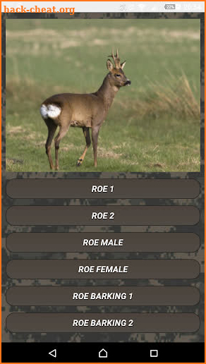 Deer hunting calls:Whitetail, Wapiti, moose sounds screenshot