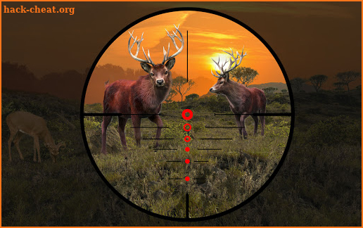 Deer Hunting Wild Animal Shooting Games 2021 screenshot