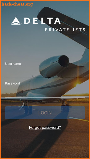 Delta Private Jets screenshot