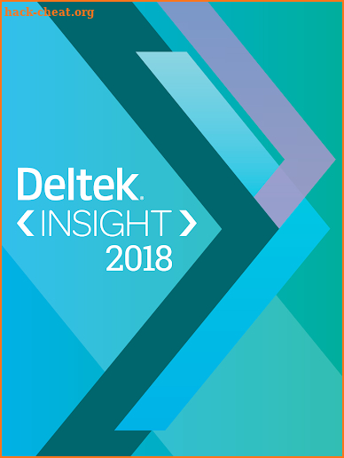 Deltek Insight 2018 screenshot