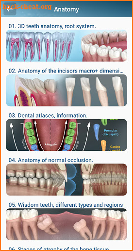 Dental 3D Illustrations for patient education screenshot