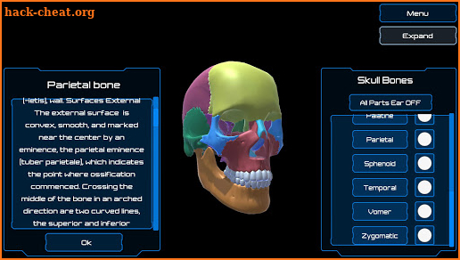 Dental Anatomy & Skull screenshot