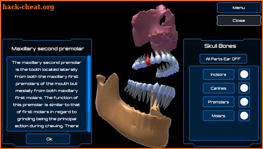 Dental Anatomy & Skull screenshot