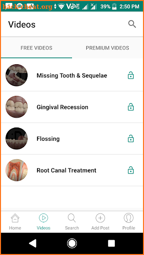 Denticiti screenshot