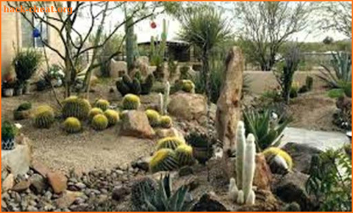 Desert Landscaping Ideas-Desert Design Landscape screenshot