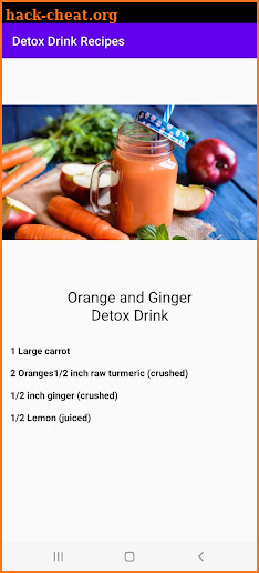 Detox Drink Recipes screenshot