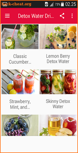 Detox Water Drinks Recipes screenshot