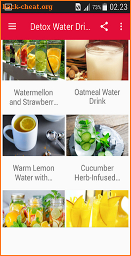 Detox Water Drinks Recipes screenshot