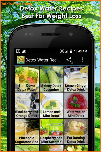 Detox Water Recipes screenshot