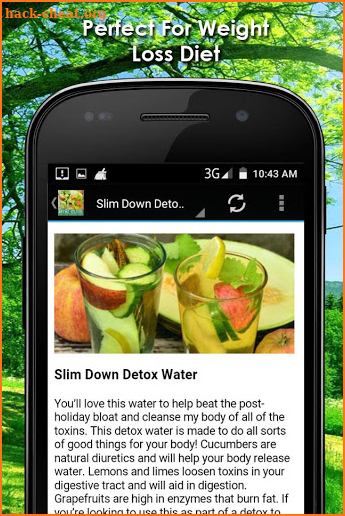 Detox Water Recipes screenshot