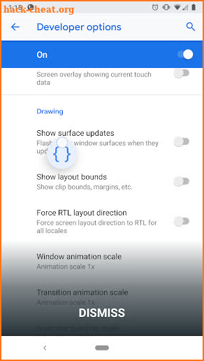 Developer Options screenshot