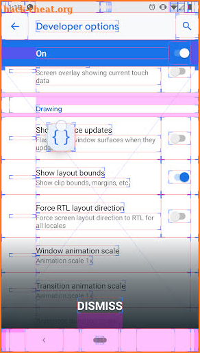 Developer Options screenshot