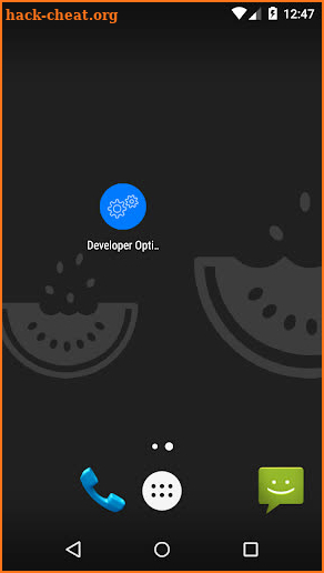 Developer Options shortcut & Device Info screenshot