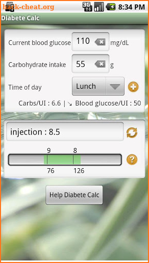 Diabete Calc screenshot