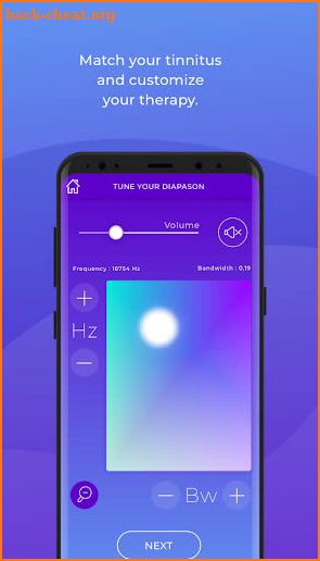 Diapason for tinnitus screenshot