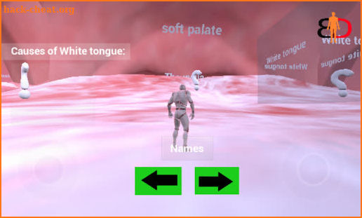 digestive sy. journey screenshot