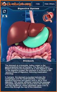 Digestive System Anatomy Pro. screenshot