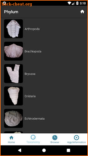 Digital Atlas of Ancient Life screenshot