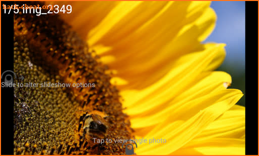 Digital Photo Frame Slideshow screenshot