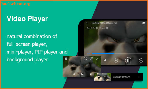 DIIX - Personal Video Player screenshot