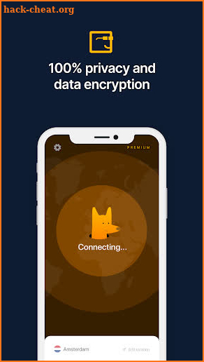 DingoVPN: Fast & Secure screenshot