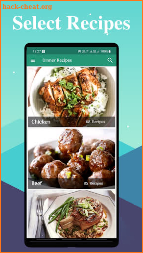 Dinner Recipes Pro screenshot