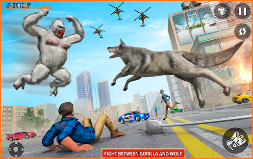 Dinosaur Rampage Sim: Angry Gorilla city smasher screenshot