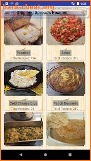 Dips and Spreads Recipes screenshot