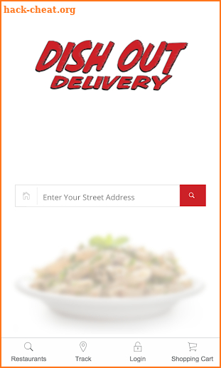 Dish Out Delivery screenshot