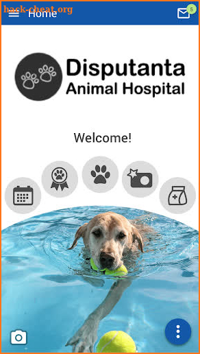 Disputanta Animal Hospital screenshot