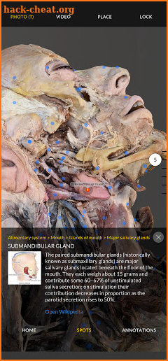 Dissection Master XR screenshot