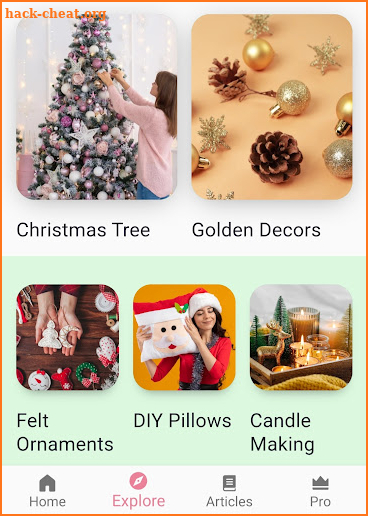 DIY Christmas Decoration App screenshot