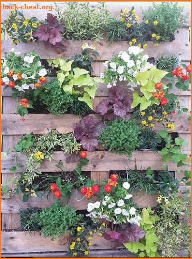 DIY Garden Ideas screenshot